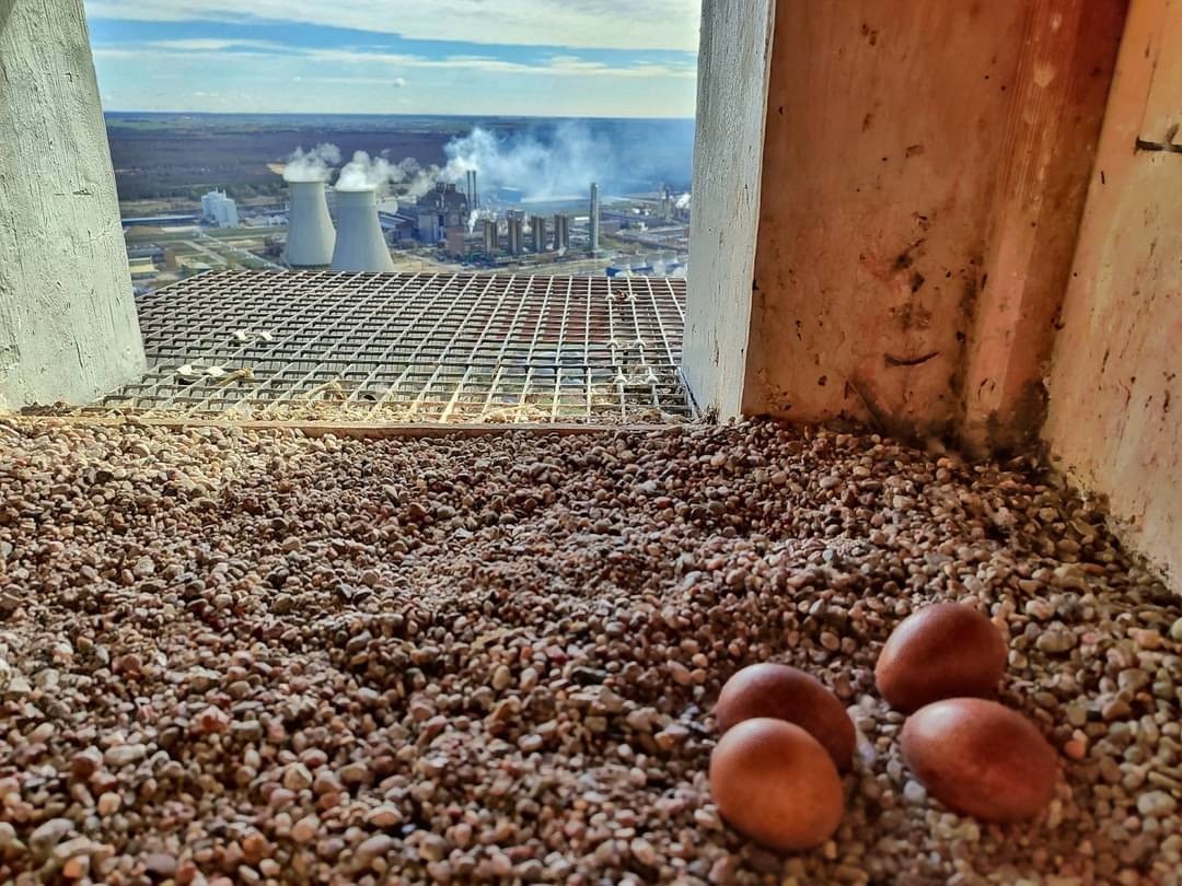 ed7fe4bc-15e9-49fb-b8cc-9d9b8bf61ea9