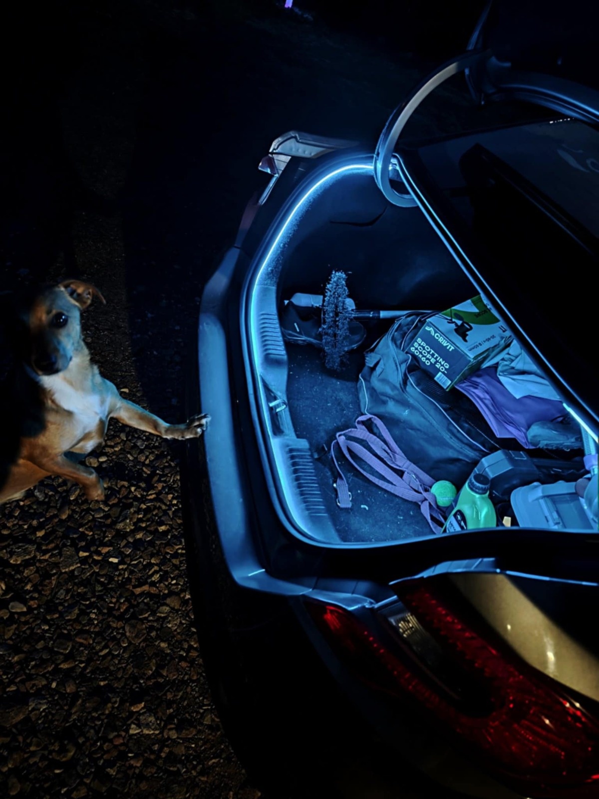 42090060-b58b-4313-8c10-22f65015c8b3