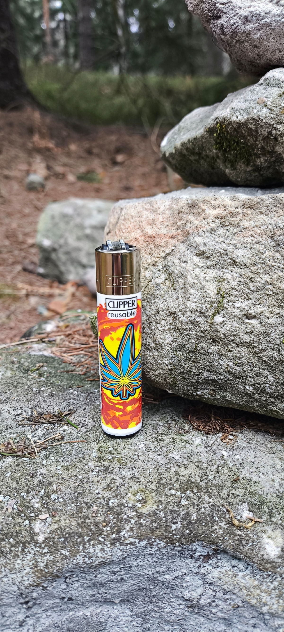 1bef60e9-517d-40a1-972e-5a78b169b2c1