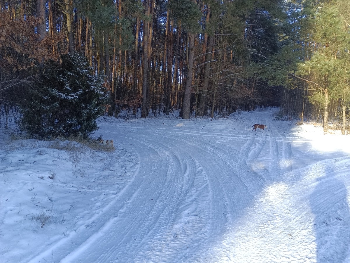 284f5844-406a-490c-8532-0d90a01142fc