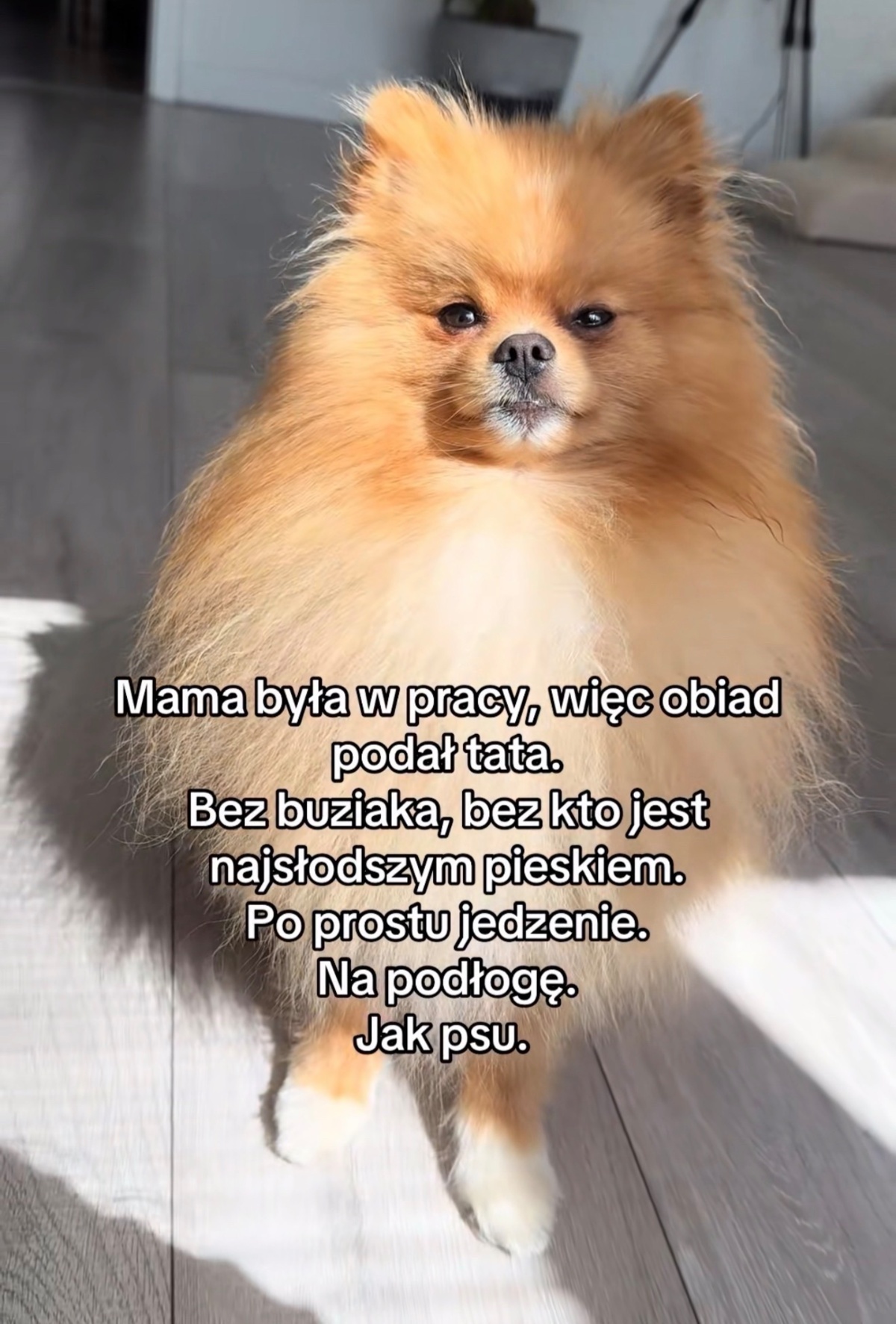 35f3962a-f23d-4993-a115-942559b28e74