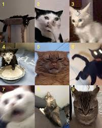 f47dda52-0eec-4949-8a83-4ea64c0c1bba