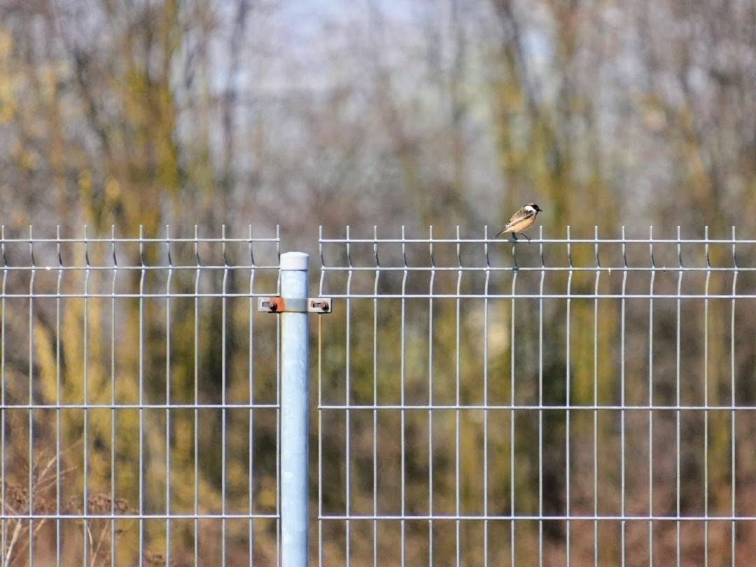 428c58f5-e115-408a-93f3-0351ceffc80f