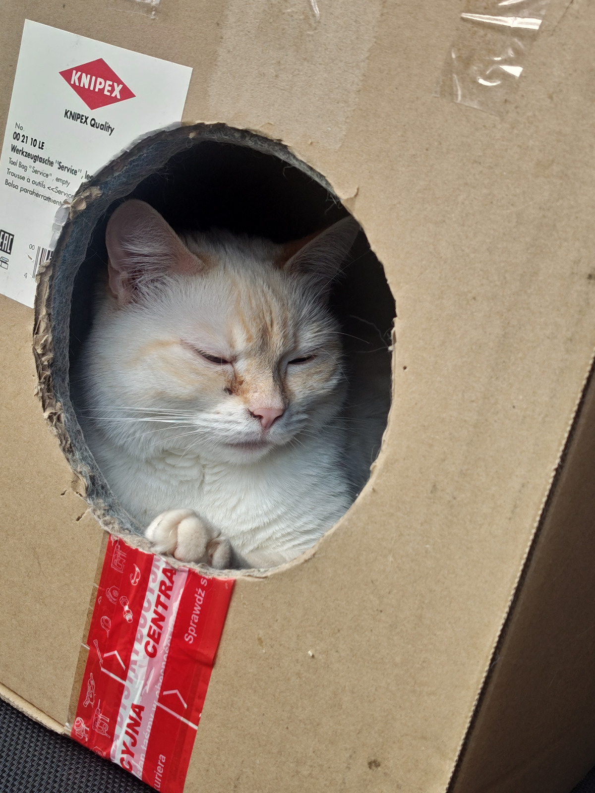 6eec9434-a645-43ae-92a5-d4c1ac85044e