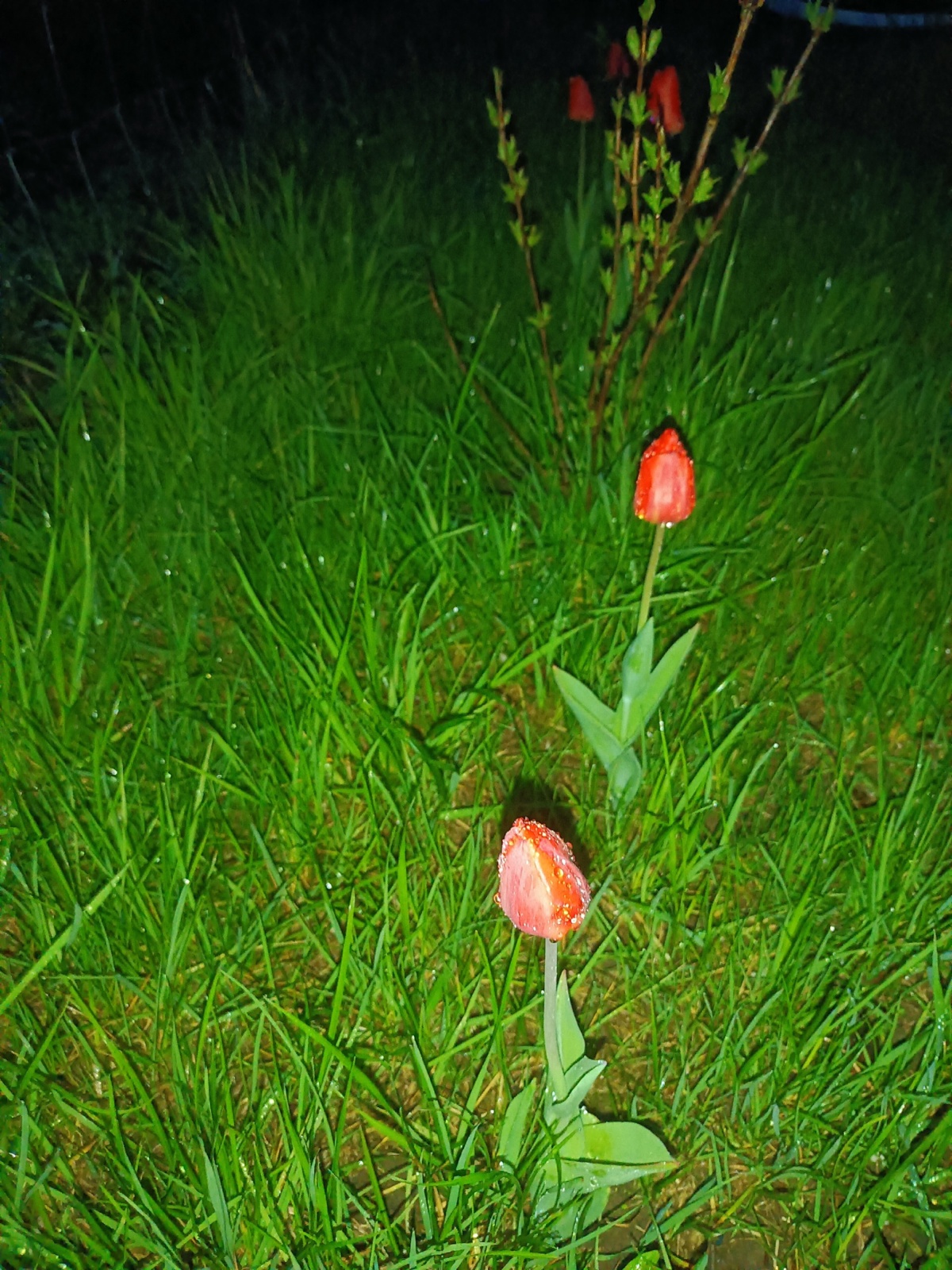 ad65f460-3c0a-4bf9-99d4-38641417048f