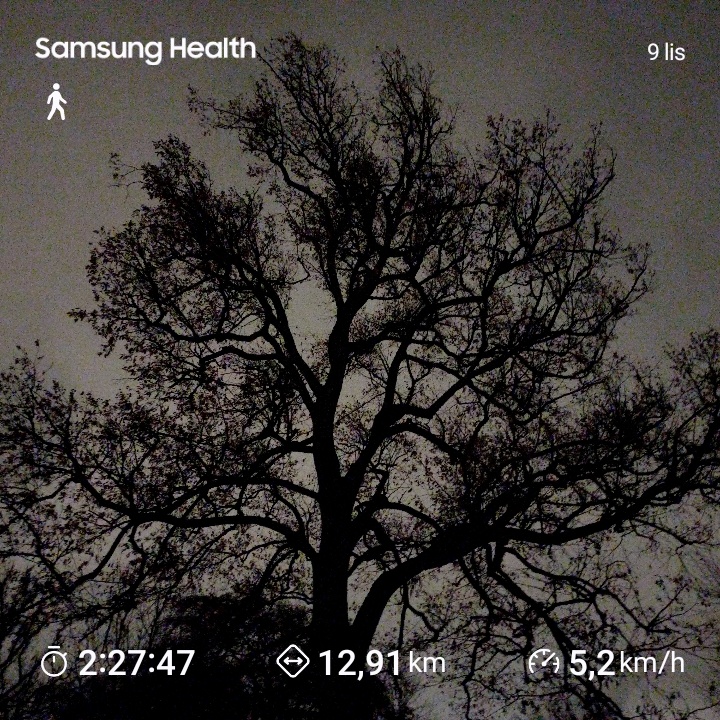 e5922b72-d0aa-4889-bed5-e5ff1e3dd44c