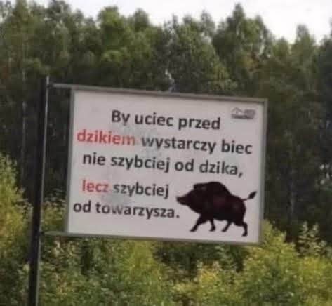 8cbe504c-0495-4120-8a12-13f48f24cdbc