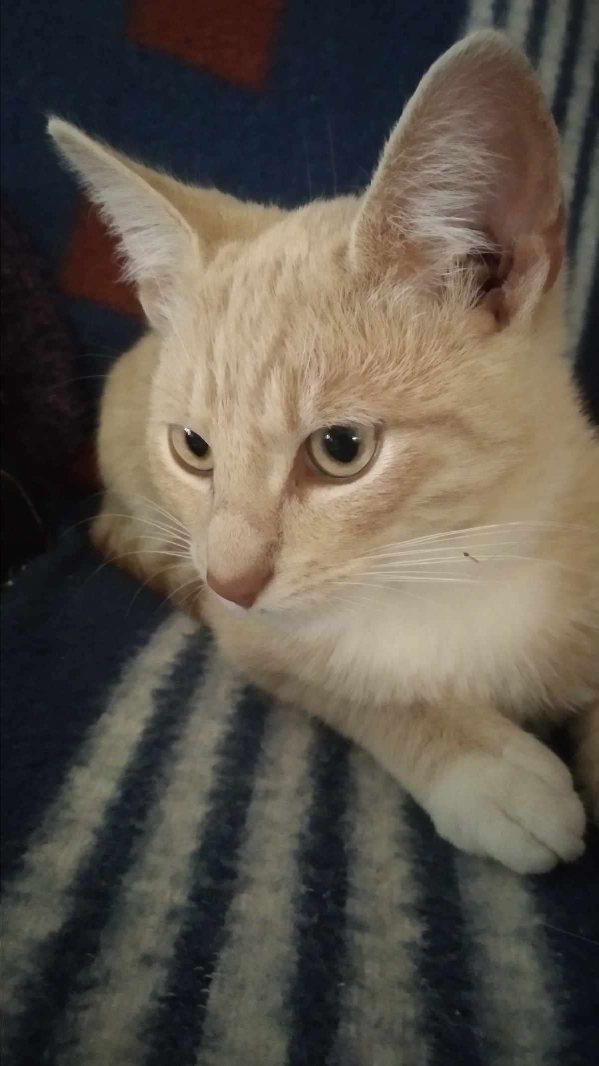 2cc58f9e-7610-4531-bd0e-525061be55df