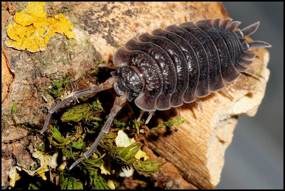 d964f06e-8ac5-4bec-86f9-2744f3895d8c