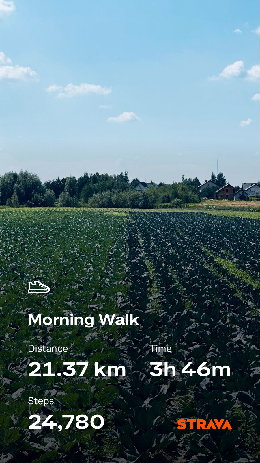 df4a3520-cf8a-4654-908d-c0a1f136782d