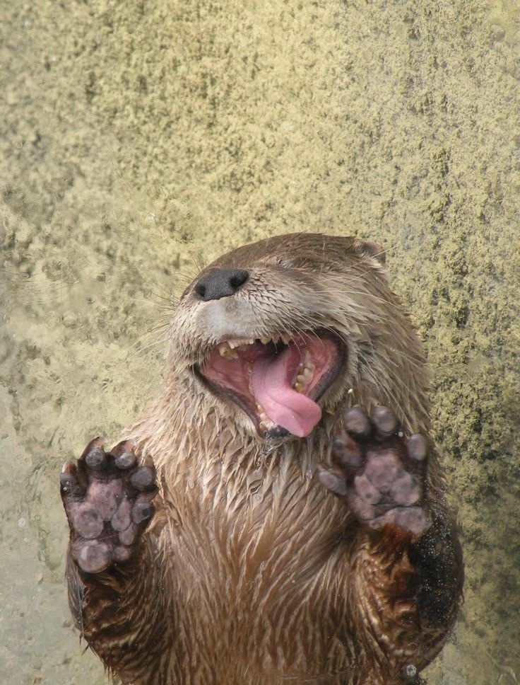 5a92f55a-4962-4ed8-8f43-baf257cfb8cd