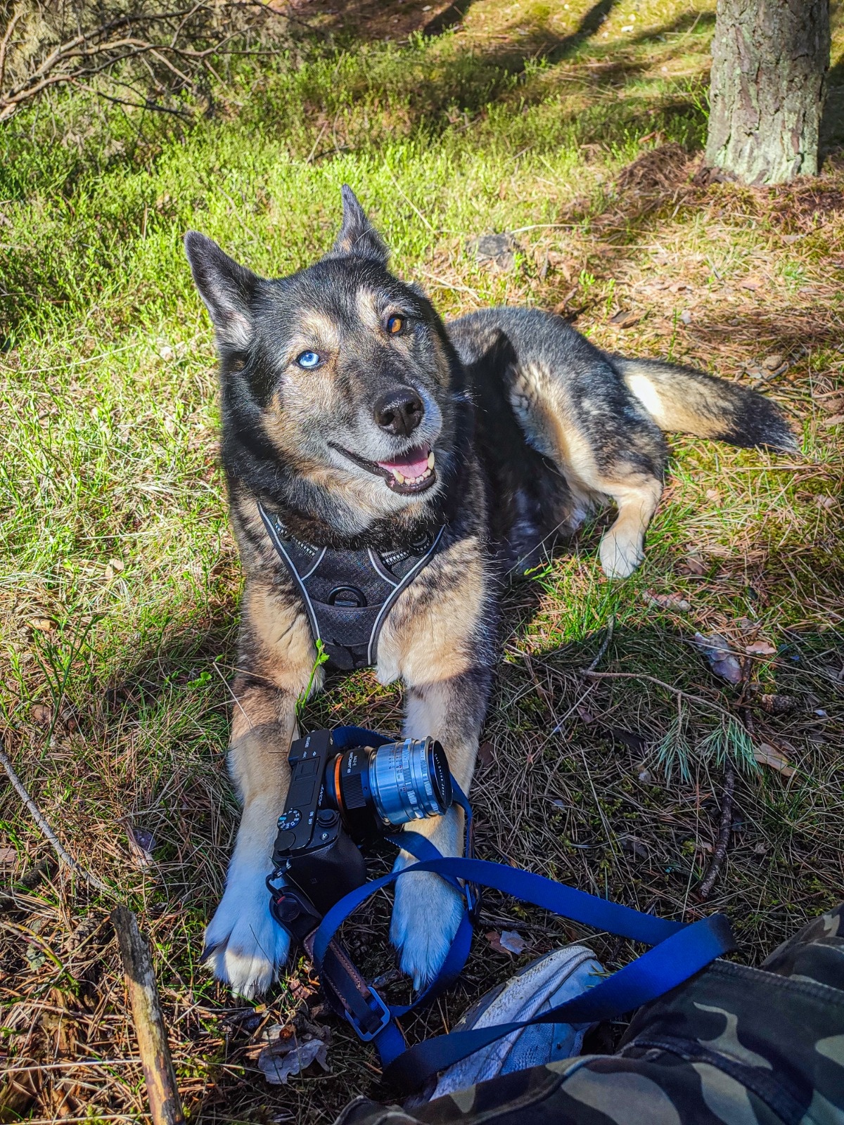 245f4cfe-9d9d-4133-b264-0eb1ddc0668d