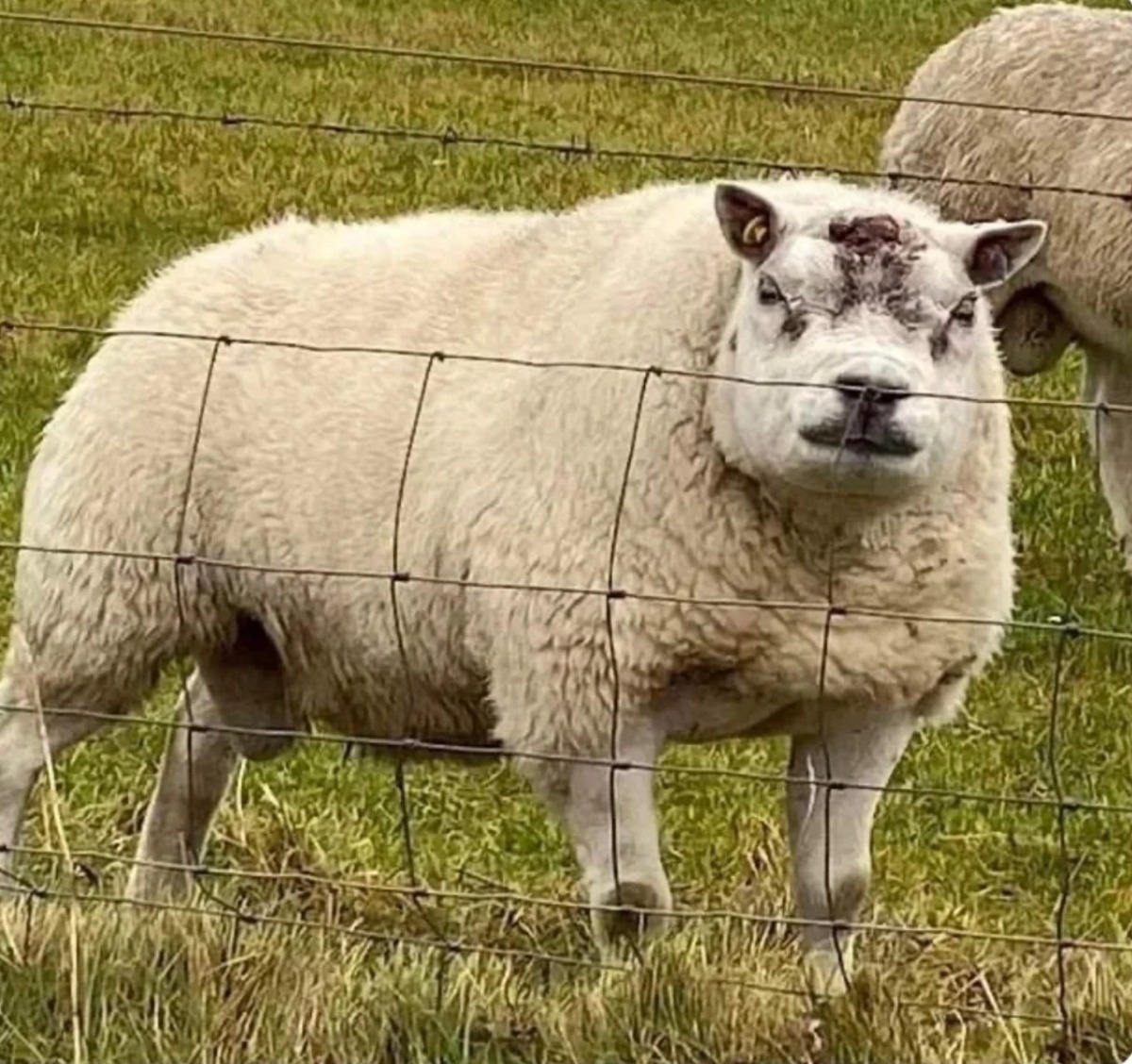 abadcd89-3858-4b9b-94c6-d88dfec9f320