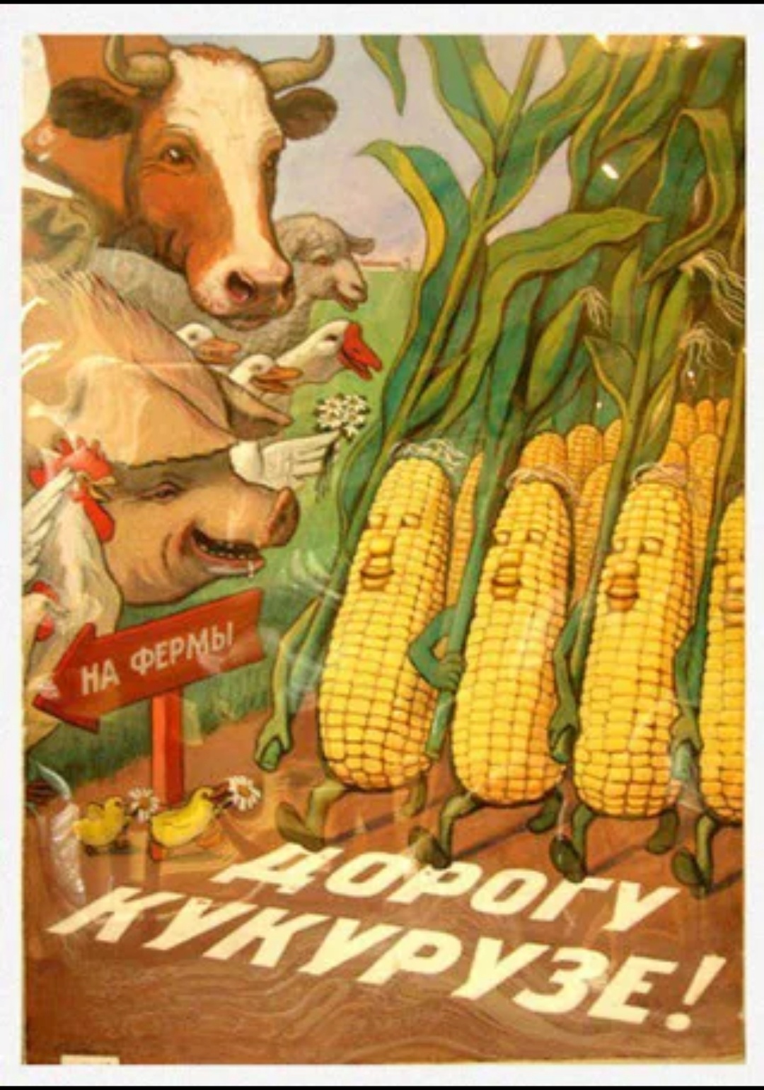 847b0f0f-e04a-4d72-9b5e-cff15fde055e