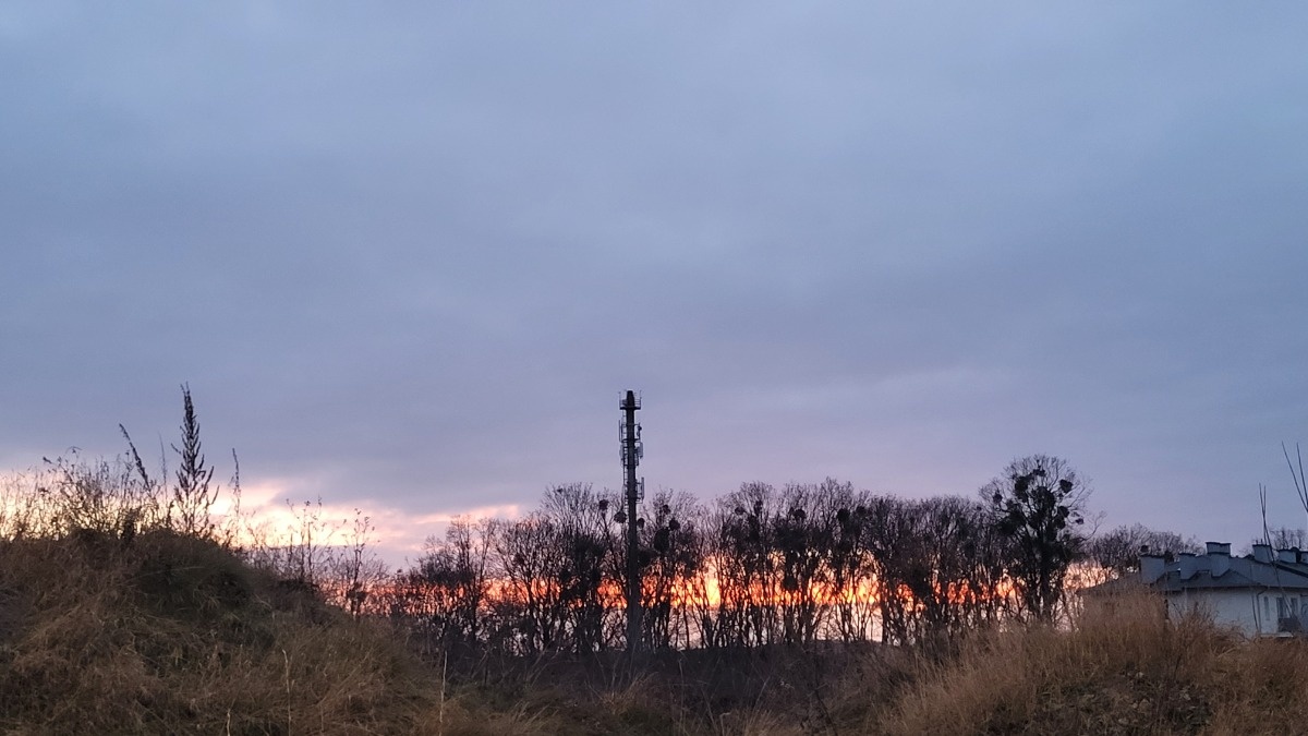 e6d31744-2e14-449b-988c-1e889eed38cc