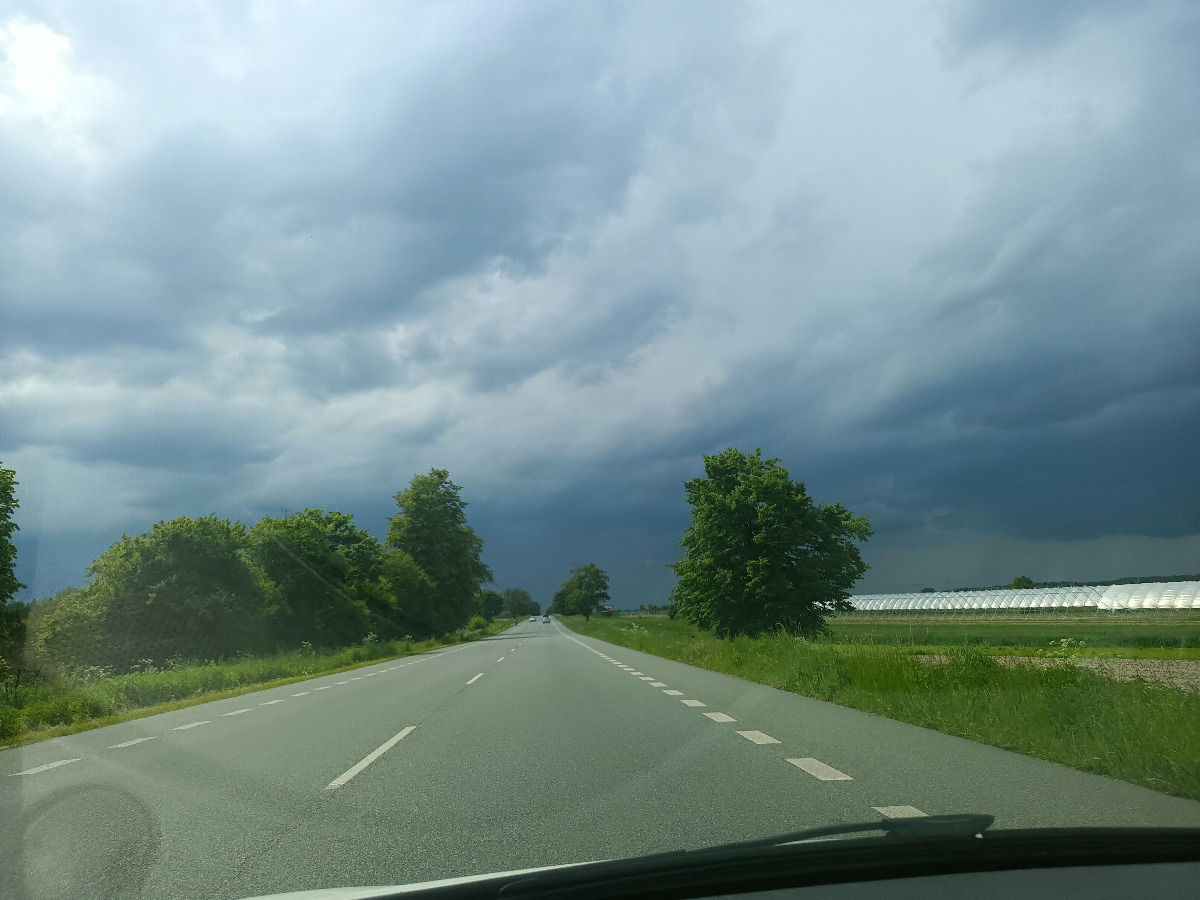 ea1f5d11-5606-4074-89c2-b802a2d0d480