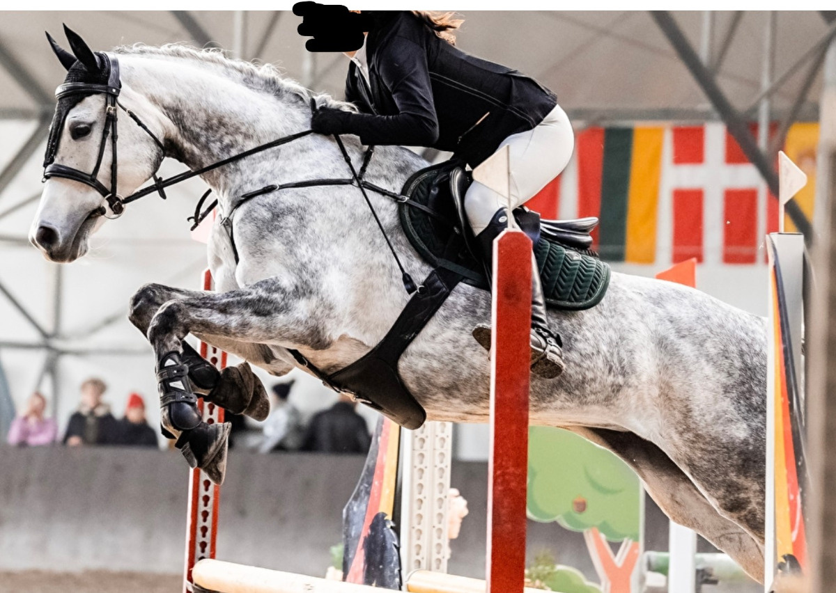 8a9a6ec7-bbb7-4f0e-9eb6-ae290941d09b