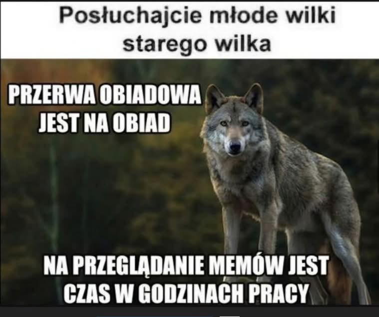 4eb0674f-7d13-4fa6-b94c-dd64869bdd77