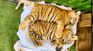 dbfc8cca-1ca6-42b9-9170-6ecd37cd4799