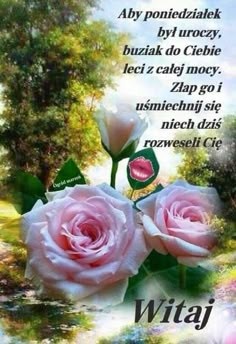 b57bf724-37f5-416d-a66e-1329d9d4ea58