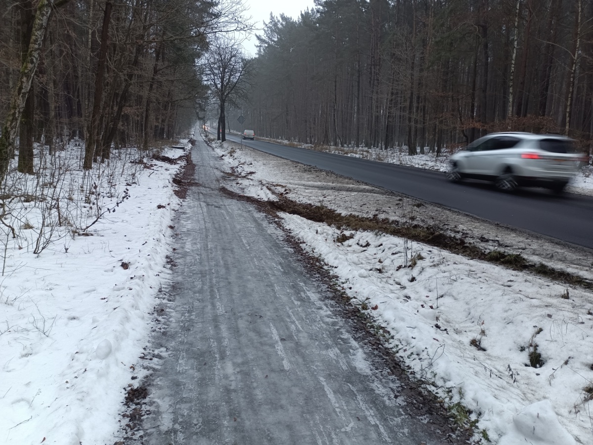 185d8882-2153-4ed3-87f0-3b5c12f3294a