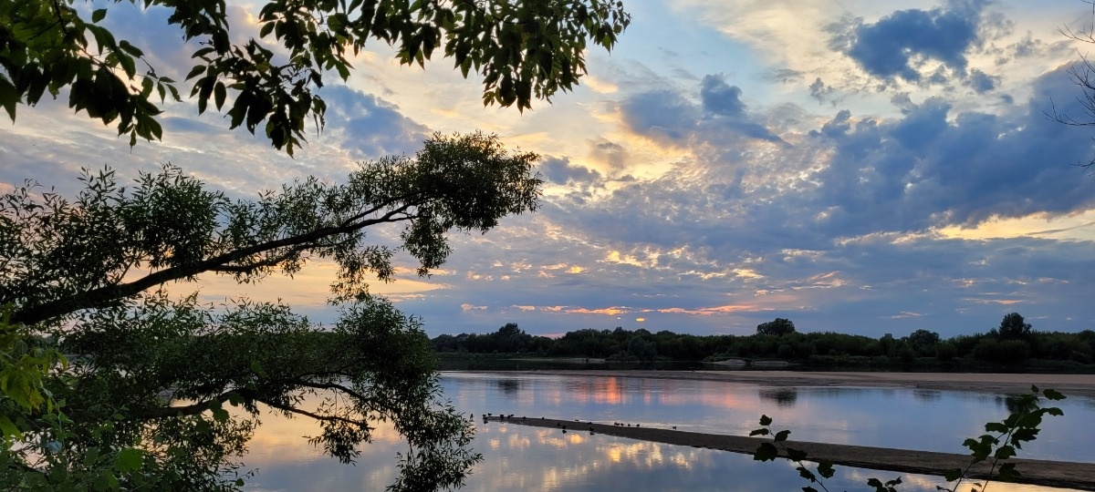 f877522d-c1fd-46c3-95df-816a51d6c459