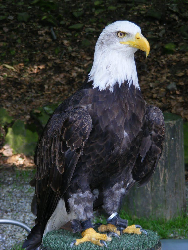 976e25f6-e84f-48b4-8012-47b5f55f64d7