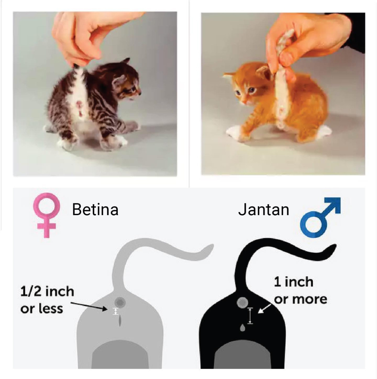 a9a0751e-7d3f-4434-a89c-85552e092ee7