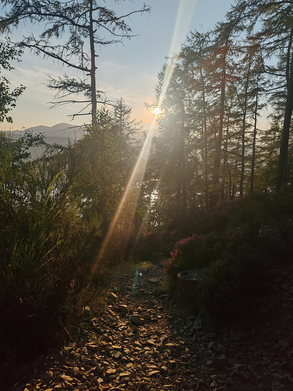 b2396bbc-0187-42df-aee7-d580d483f5f0