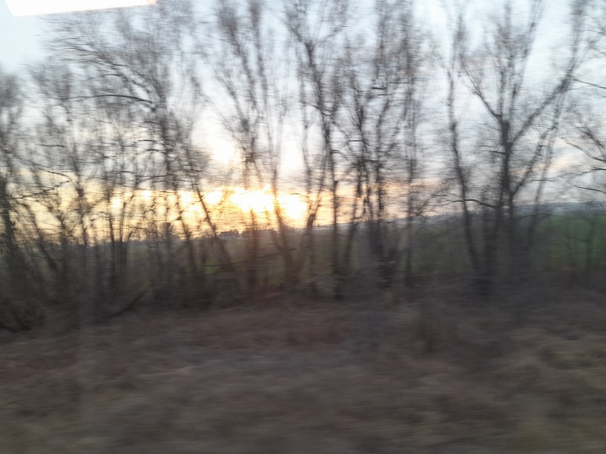 d10e569f-e7de-49c8-aaeb-8f05423350e8