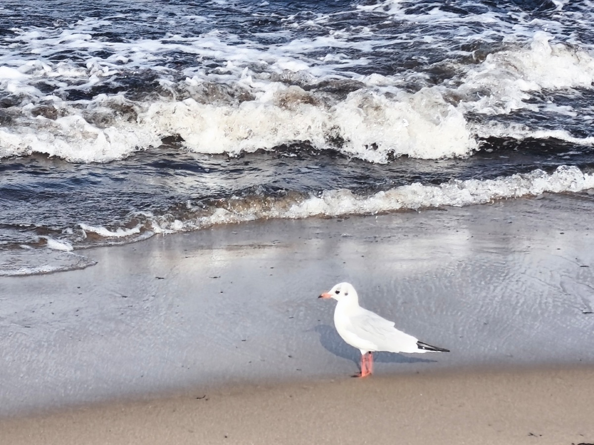 1f316998-8144-4344-ba71-2d9495286e7f