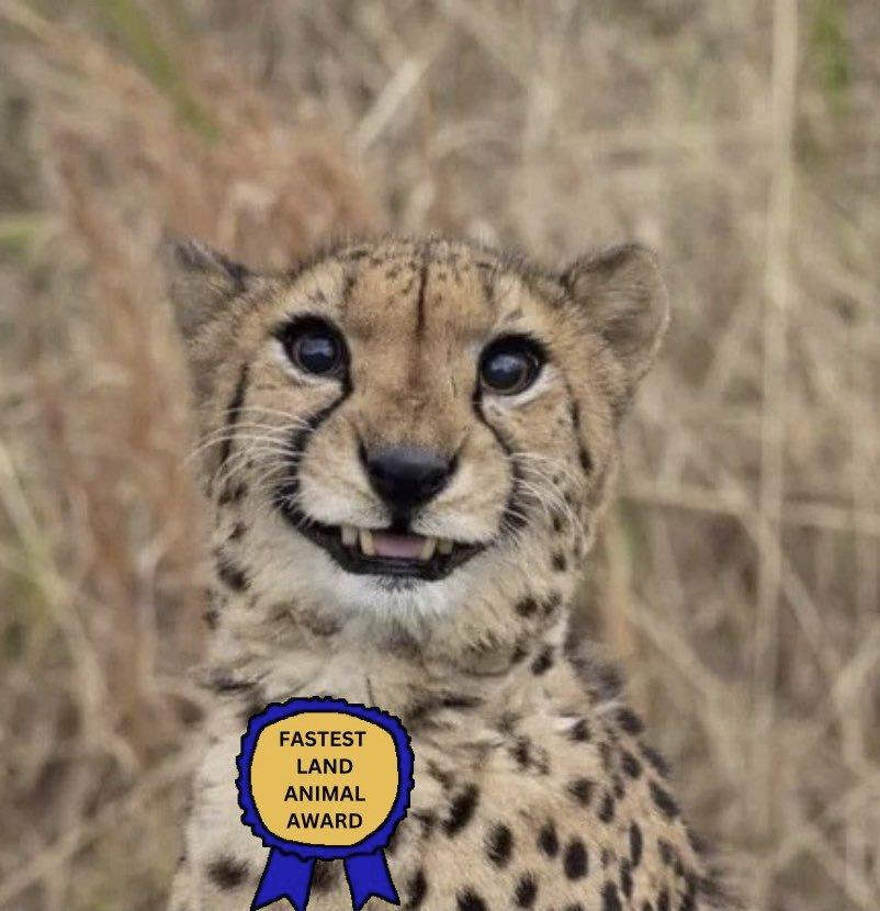 8cfbf3f6-3418-4bac-84f3-5f6a7184b6c2