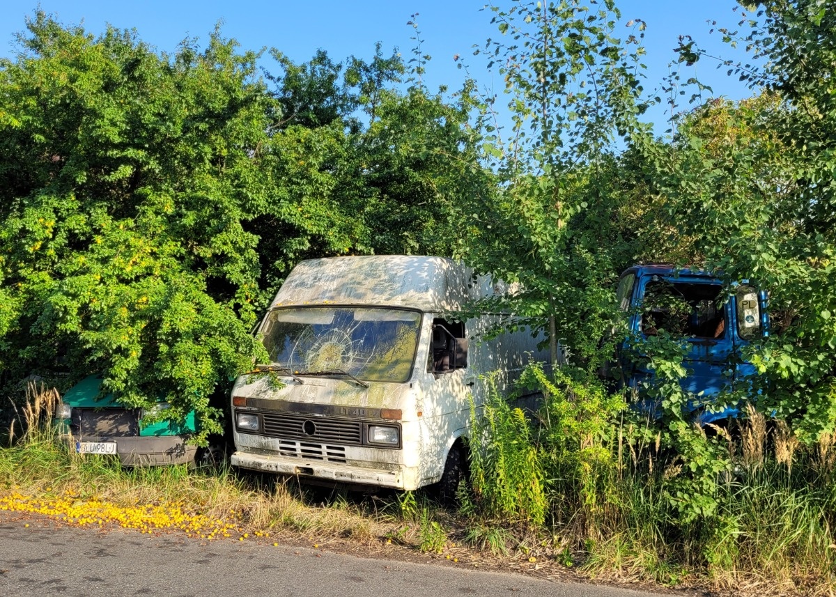 b2513f70-09b5-4cc0-b182-8291e6ce53b6