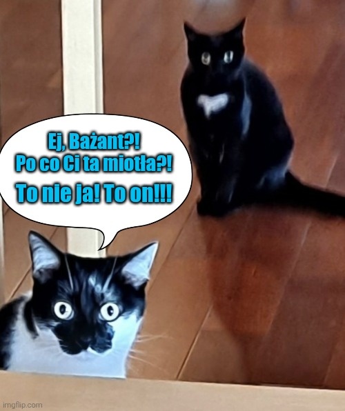 a0b3c1f8-076f-4eaa-b890-8b8b0f325730