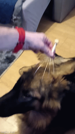 7a5a5ef5-585c-471e-b171-fb056e664ed0