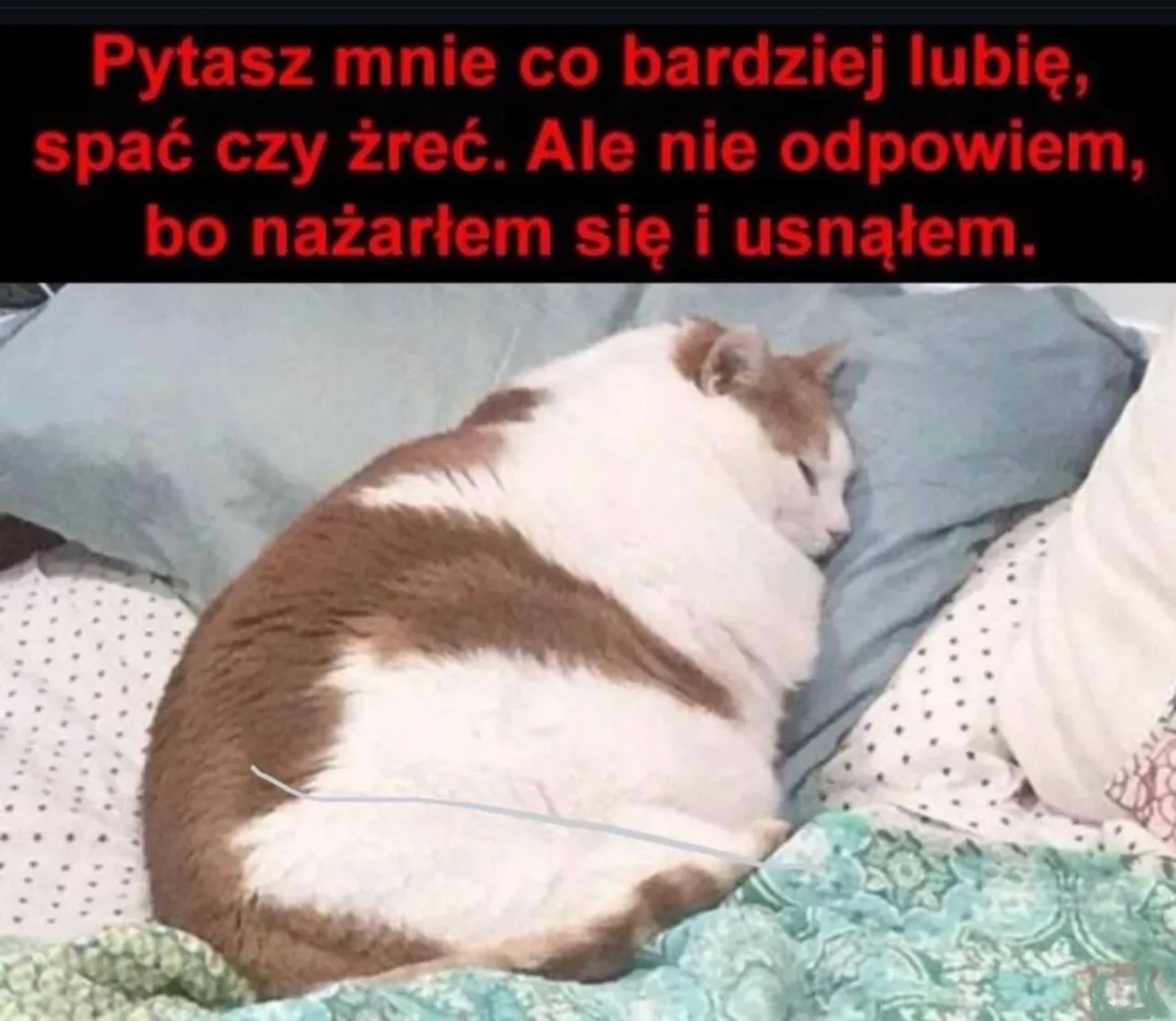 84d38404-fd16-4e7f-9d8b-a306de1ae355