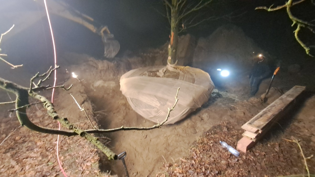 13c0e092-fa7c-4fa2-b6cd-38317e294c11