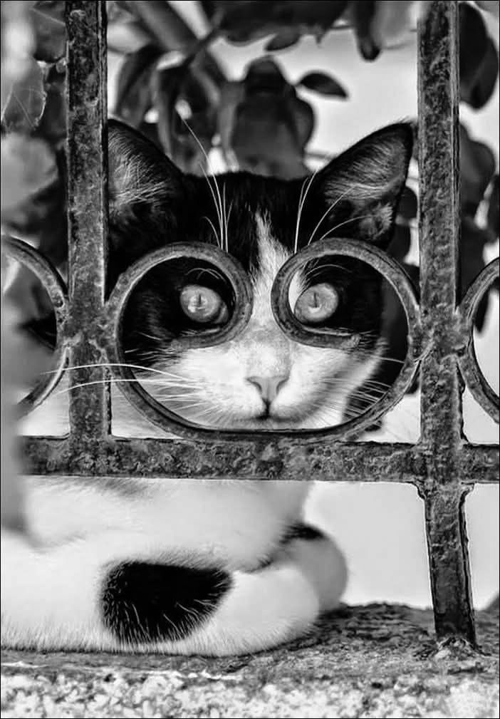 d625b514-4734-4c4a-b811-013a7293f1aa