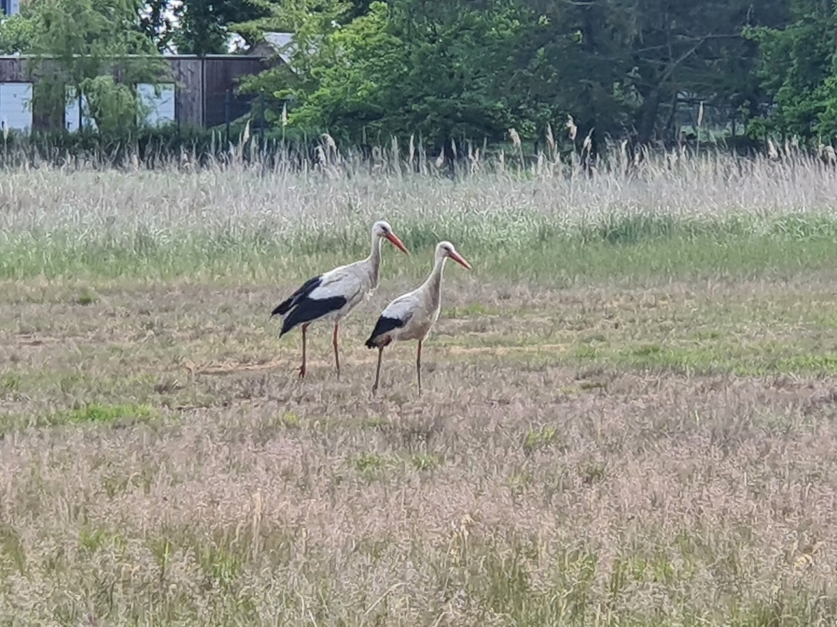 6e615b94-4d8e-4eae-bed5-9297143dbdfb