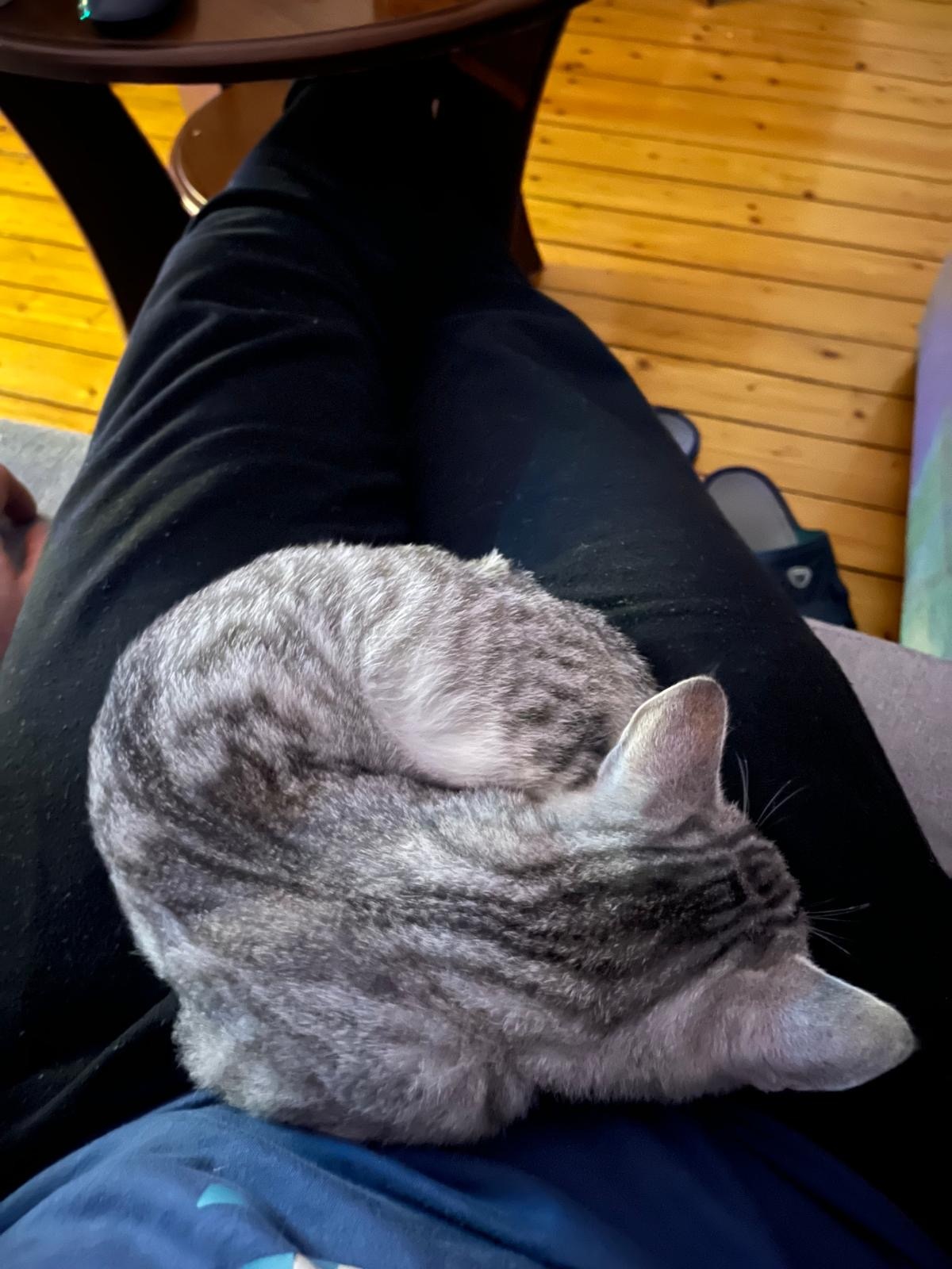 301e3692-adb2-48db-b33b-3cb22d340520