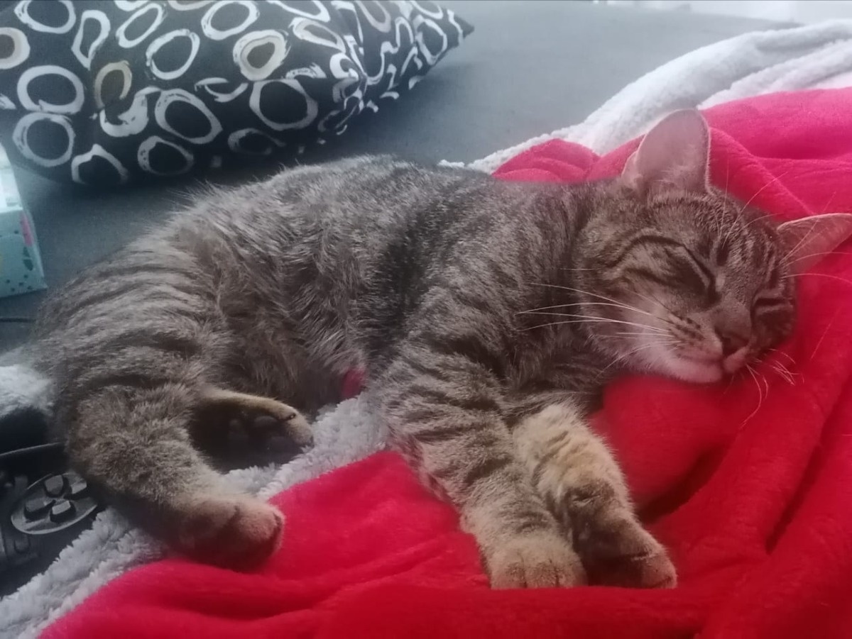 902d6883-5f9e-45f9-82f0-89b8ba694b81