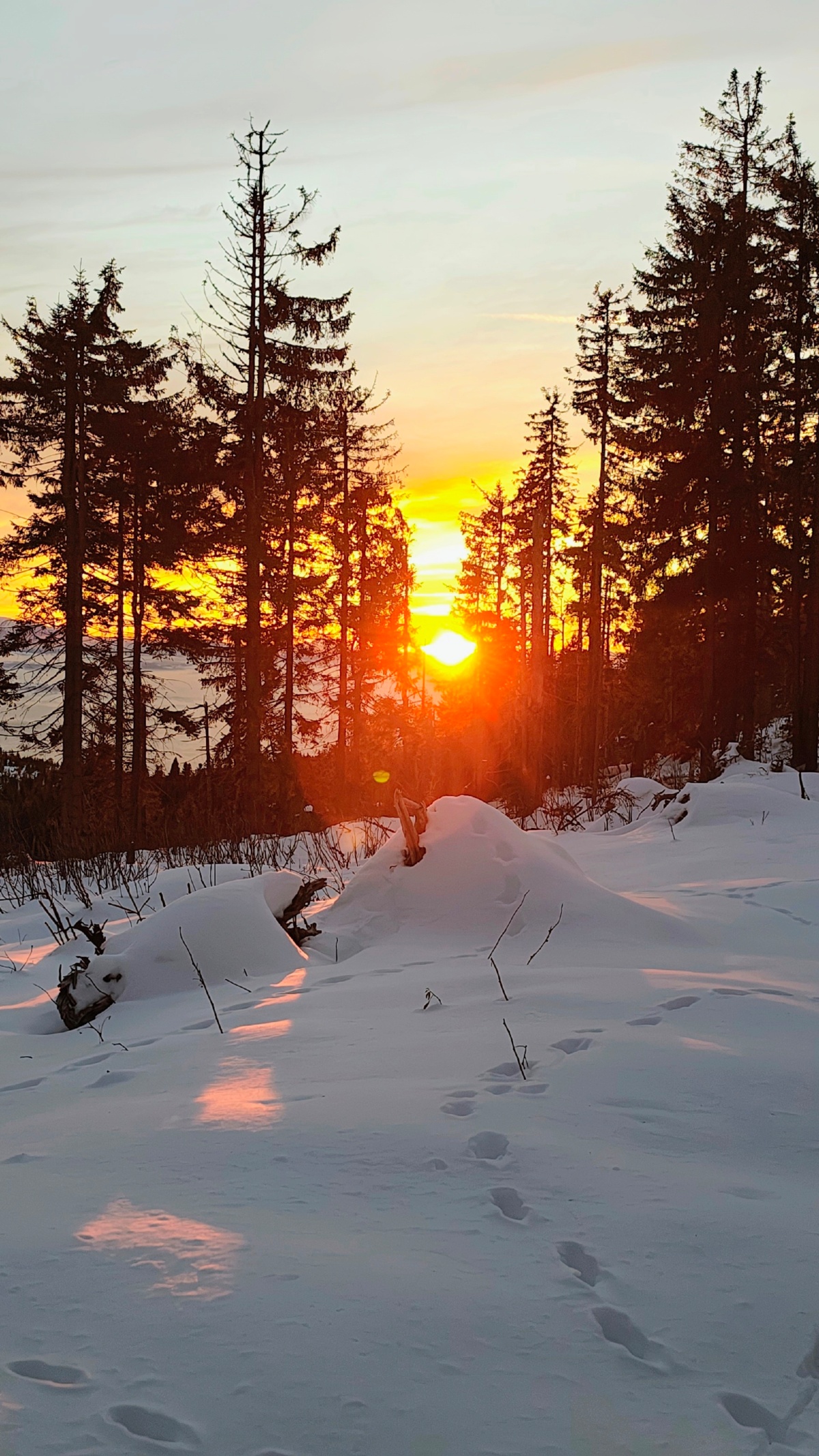 f5f8b556-f9e2-48d0-883b-6bddcfc395ab