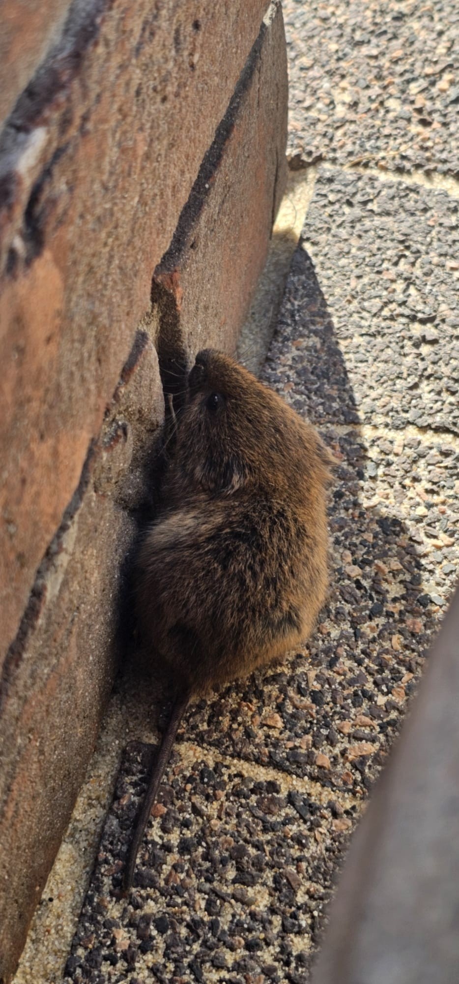 e89de273-8b0d-410f-a8d2-3c4ad70a974f