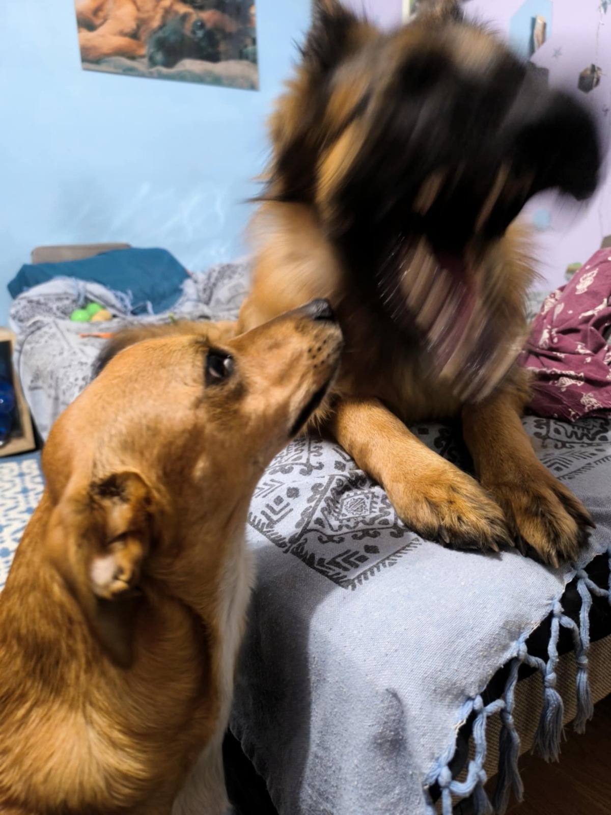 ca0dab20-0610-41be-820a-8b4b58dd65ad