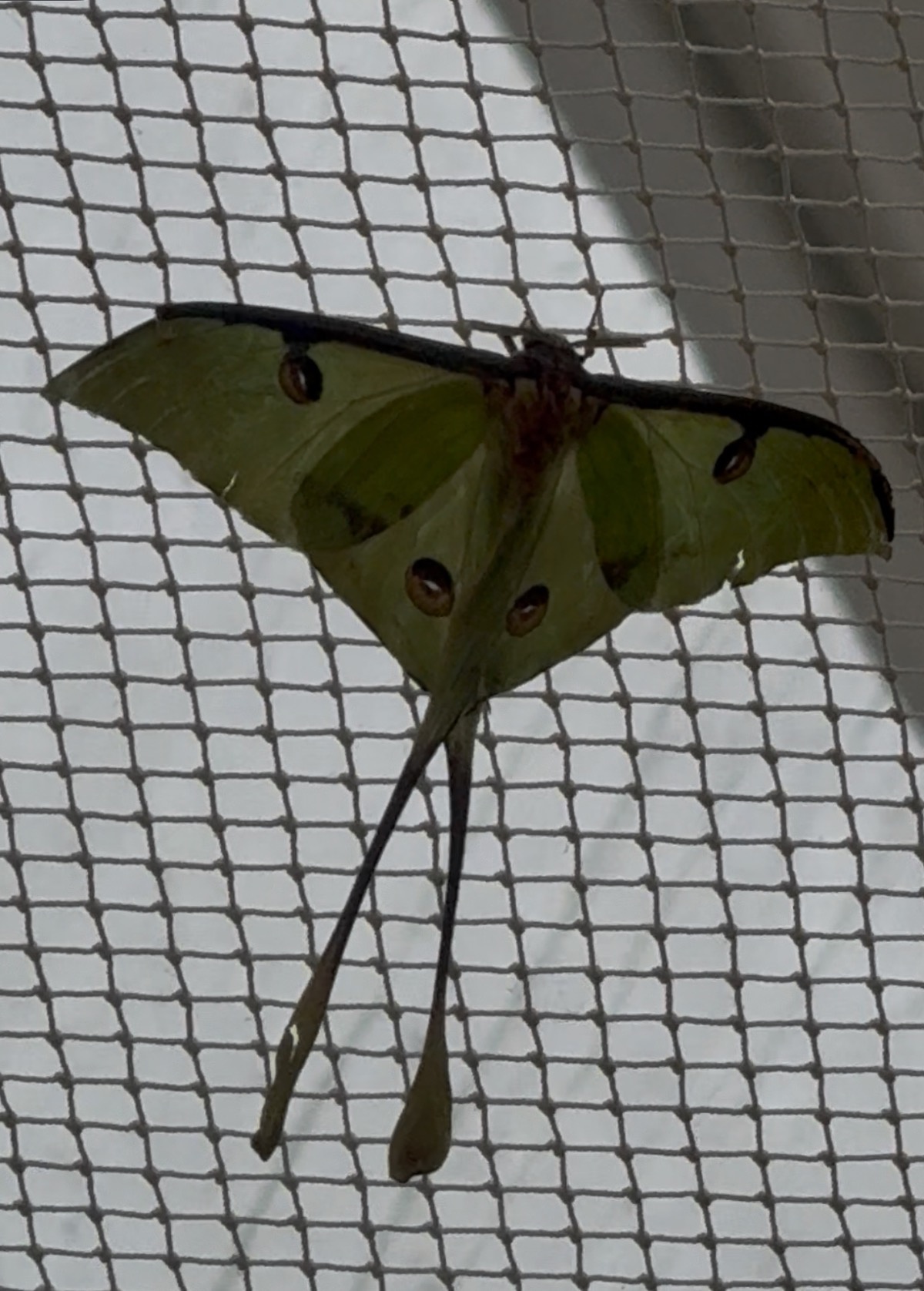 b237fffc-9dea-4009-9179-e6729aa9b238