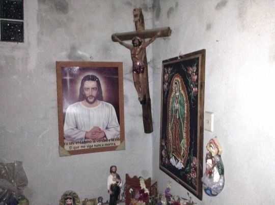 7ad19d2c-06cf-4e35-ba01-a4893e0cfefb