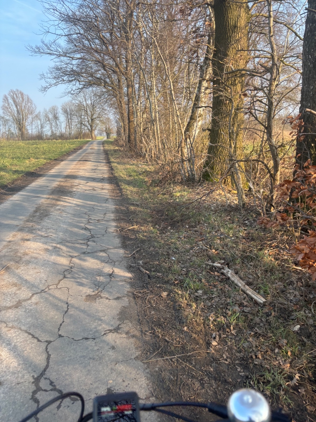 03d541c4-3edc-40ee-b31c-b51fbee0560e