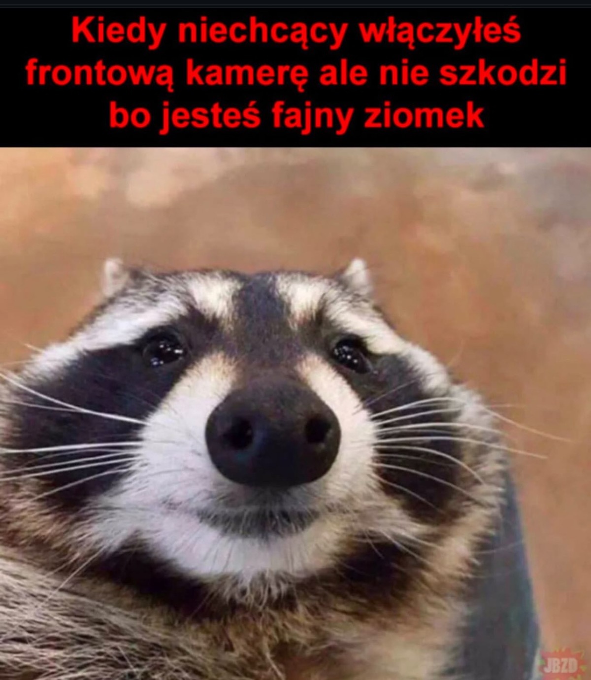 14494538-453b-45fc-8005-145c38db4f90