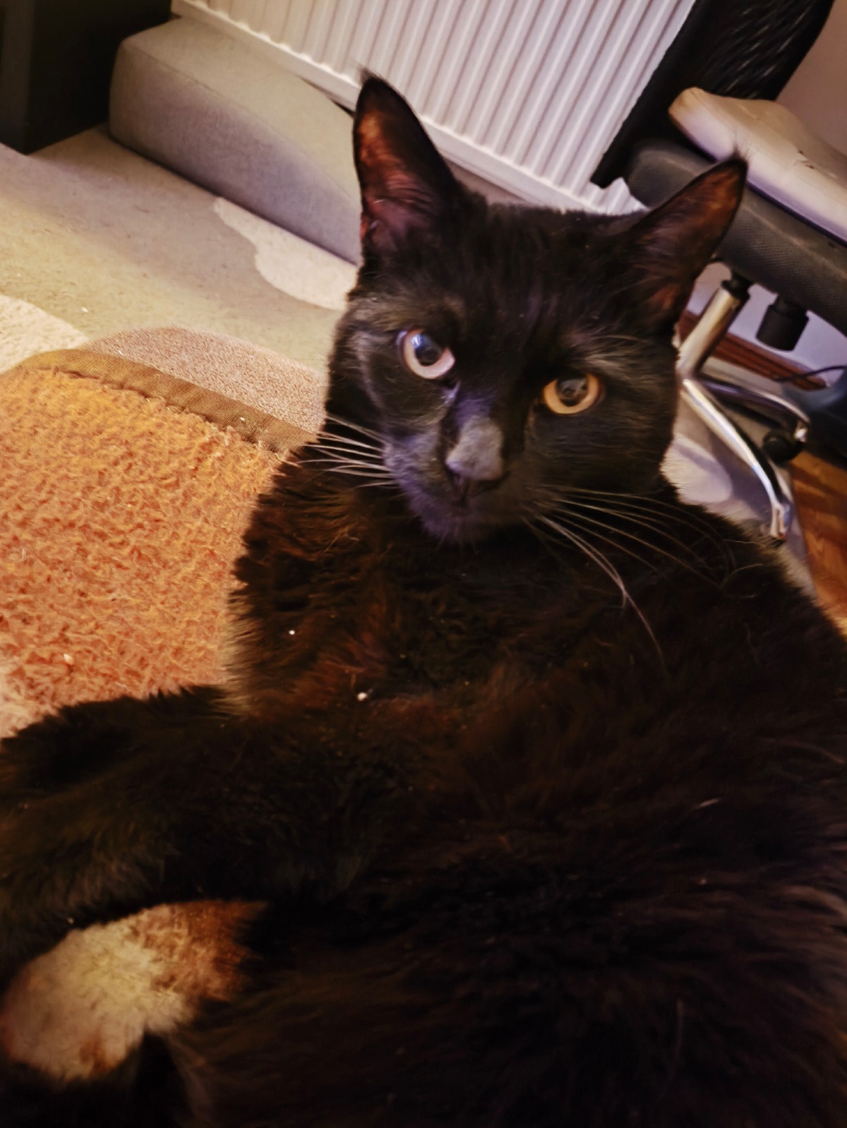 6c94fed1-eba3-454d-9407-5b65f128b6b4