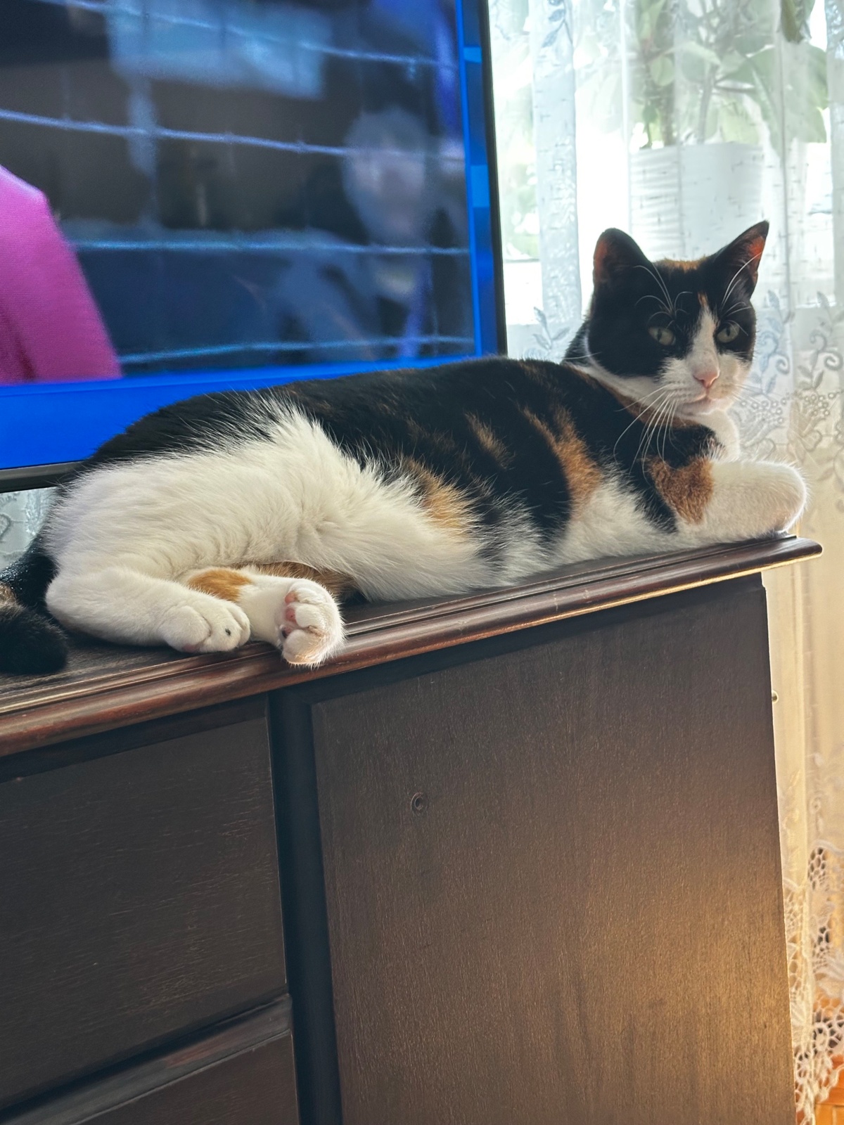 5f2c736e-478b-425b-a669-b3feba9664bb